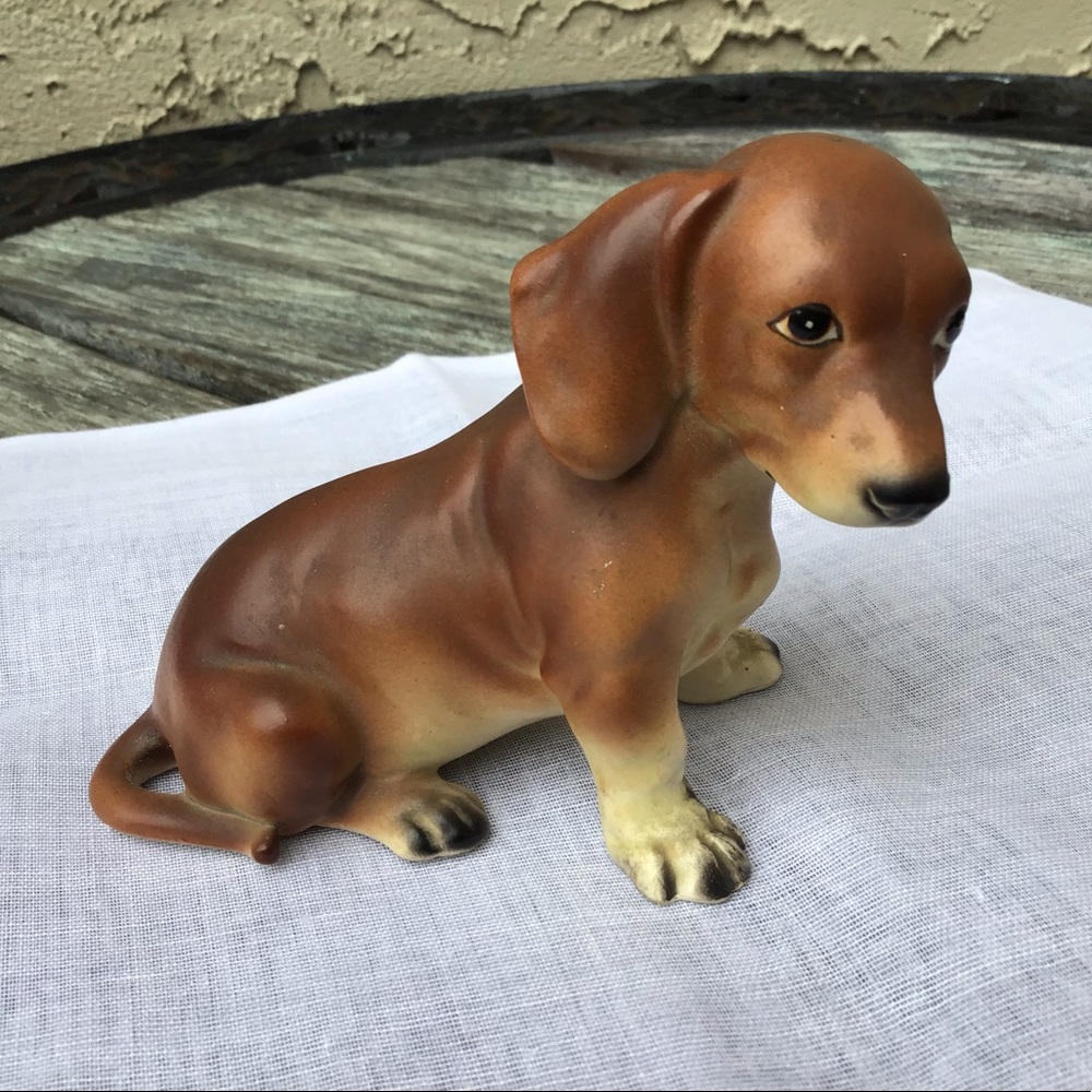 CUTE LEFTON PUPPY DOG